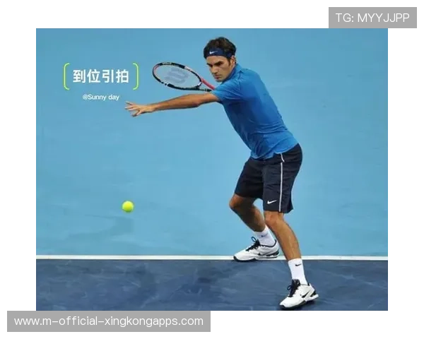 网球比赛技术动作优化与效率研究(423 )