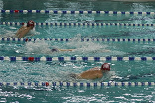 星空综合体育全站app-中国游泳运动员世锦赛接力项目表现抢眼，中国游泳接力夺金